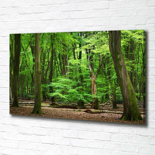 Canvas wall art Dutch forest