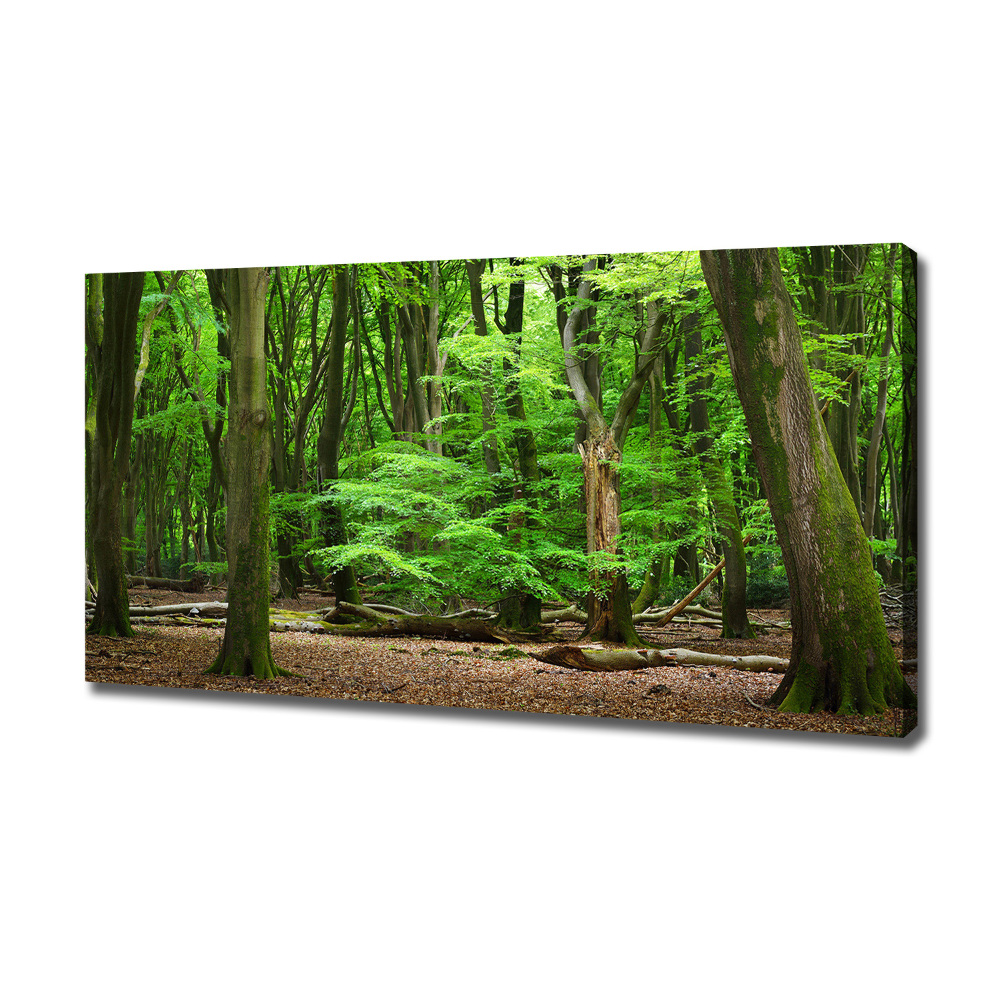 Canvas wall art Dutch forest