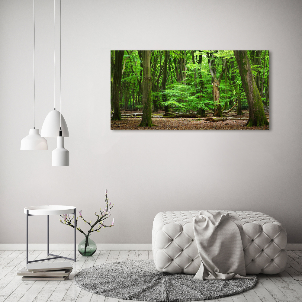 Canvas wall art Dutch forest