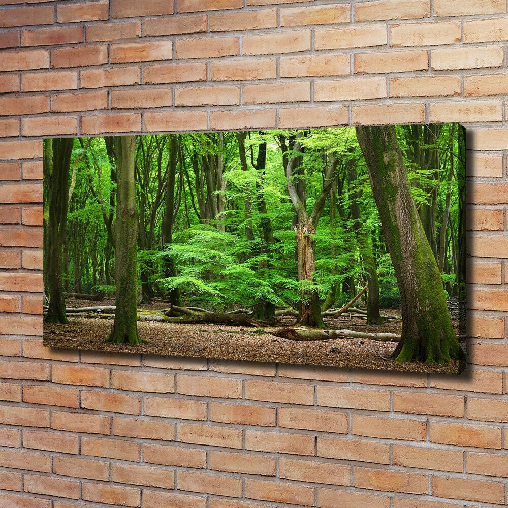 Canvas wall art Dutch forest