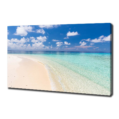 Canvas wall art Beach in the Maldives