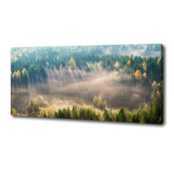 Canvas wall art Fog in the forest