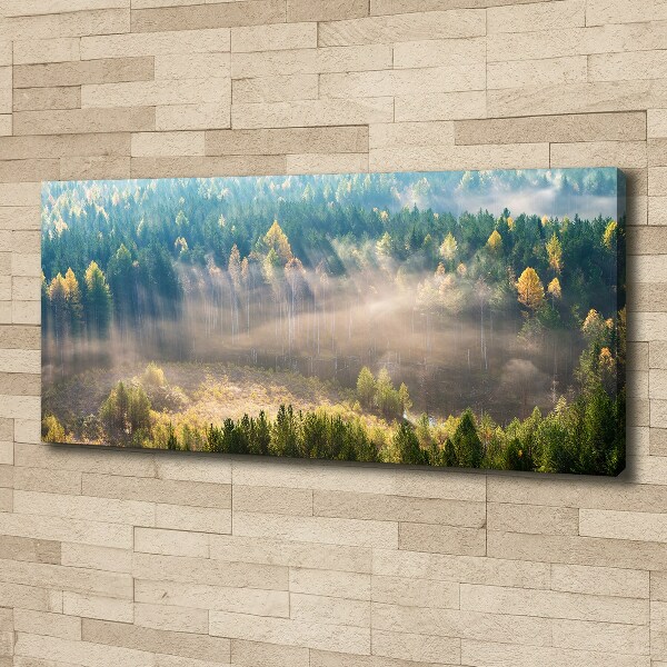 Canvas wall art Fog in the forest