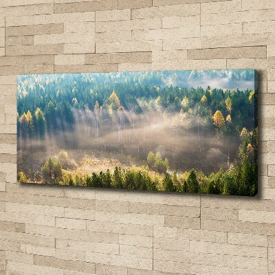 Canvas wall art Fog in the forest