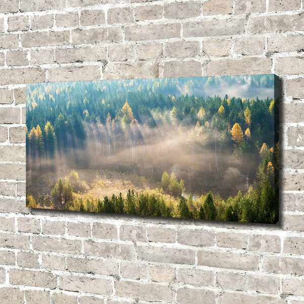 Canvas wall art Fog in the forest