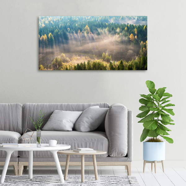 Canvas wall art Fog in the forest