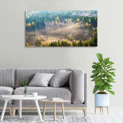 Canvas wall art Fog in the forest