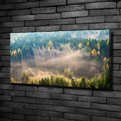 Canvas wall art Fog in the forest