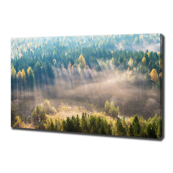 Canvas wall art Fog in the forest