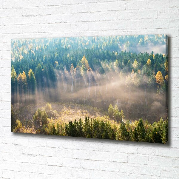 Canvas wall art Fog in the forest