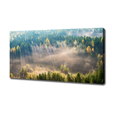 Canvas wall art Fog in the forest