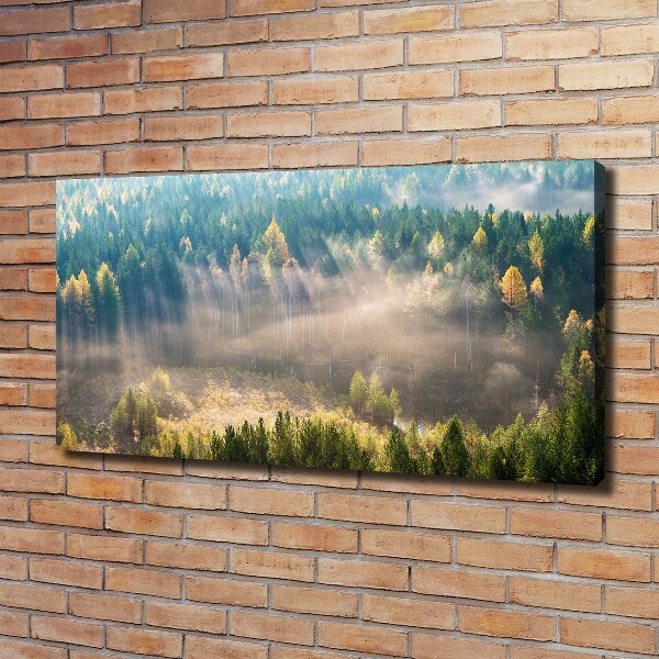 Canvas wall art Fog in the forest