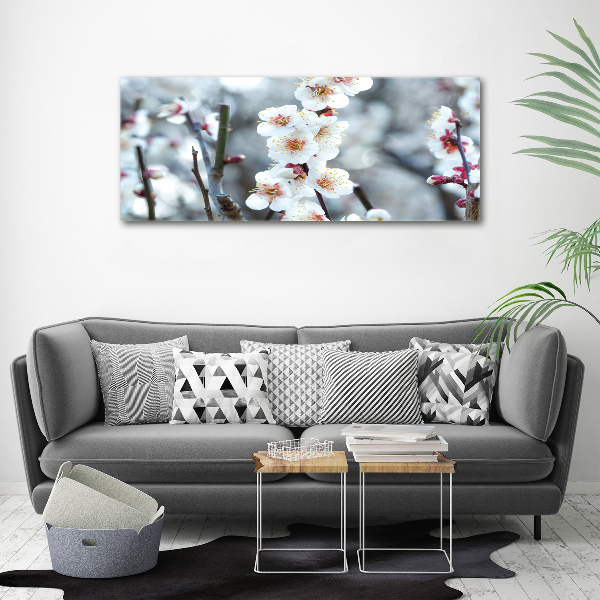 Canvas wall art Cherry blossoms