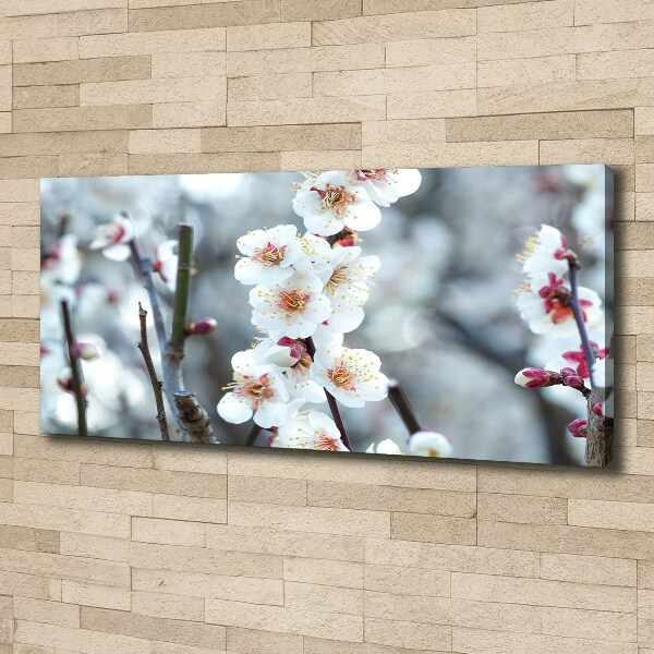 Canvas wall art Cherry blossoms