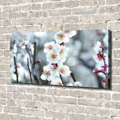 Canvas wall art Cherry blossoms