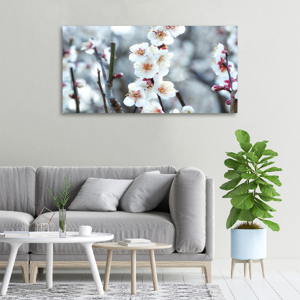 Canvas wall art Cherry blossoms