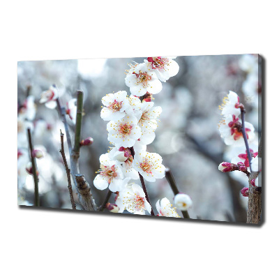 Canvas wall art Cherry blossoms