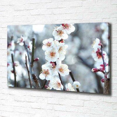 Canvas wall art Cherry blossoms