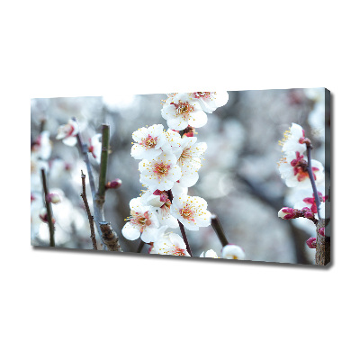 Canvas wall art Cherry blossoms