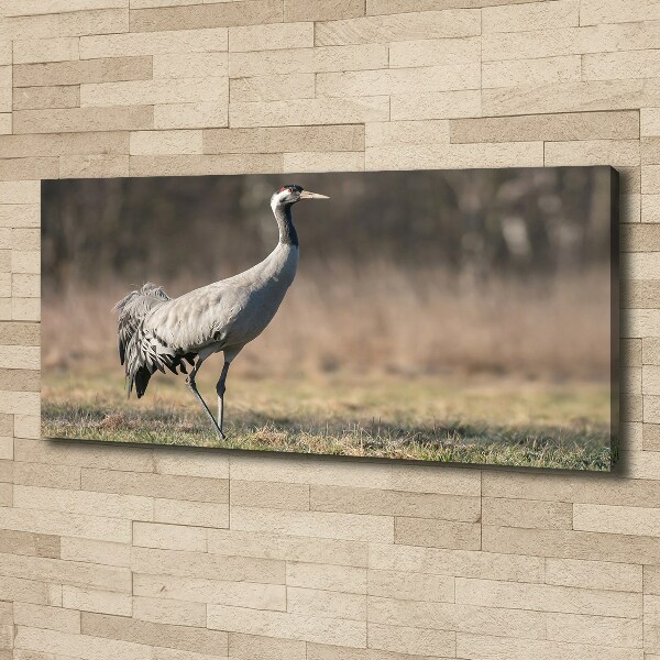 Wall art canvas large Heron