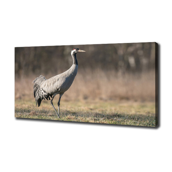 Wall art canvas large Heron