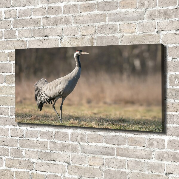 Wall art canvas large Heron