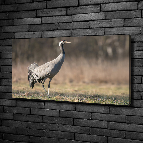 Wall art canvas large Heron