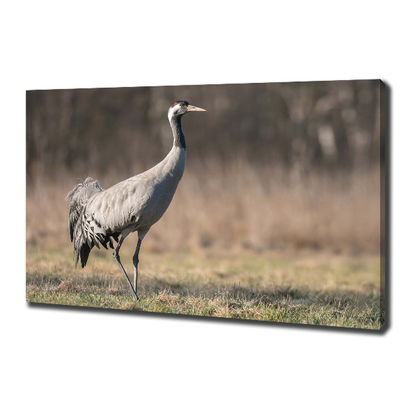 Wall art canvas large Heron