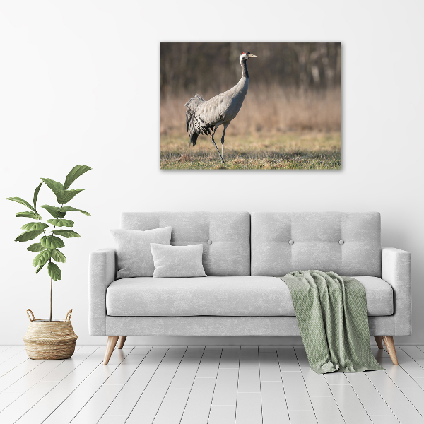 Wall art canvas large Heron