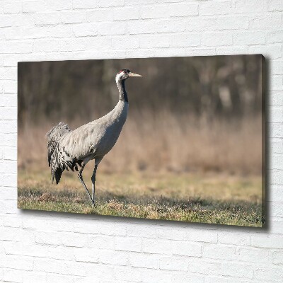 Wall art canvas large Heron