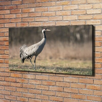 Wall art canvas large Heron