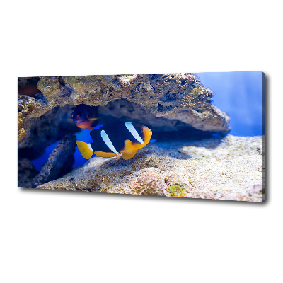 Canvas wall art Tropical fish