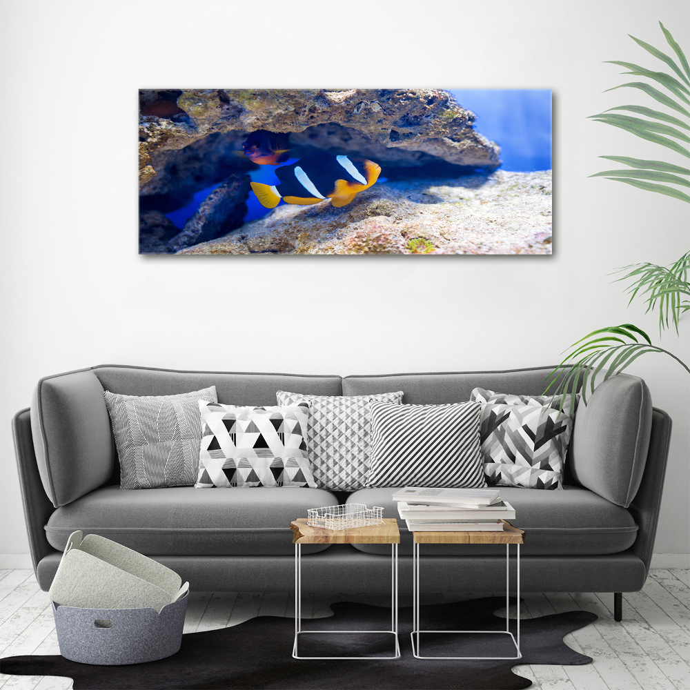 Canvas wall art Tropical fish