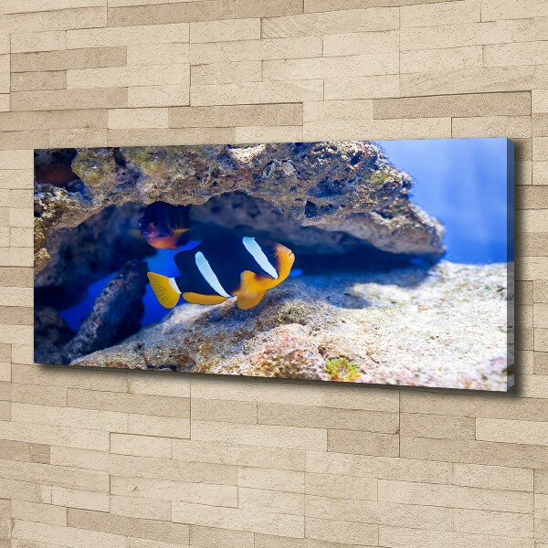 Canvas wall art Tropical fish