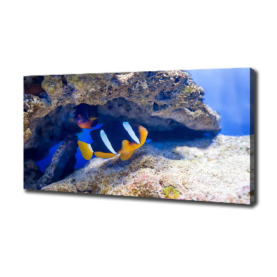 Canvas wall art Tropical fish