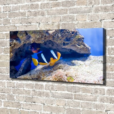 Canvas wall art Tropical fish