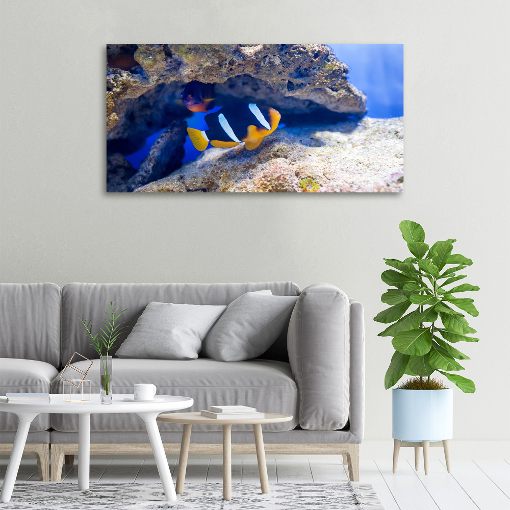 Canvas wall art Tropical fish