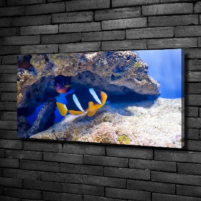 Canvas wall art Tropical fish