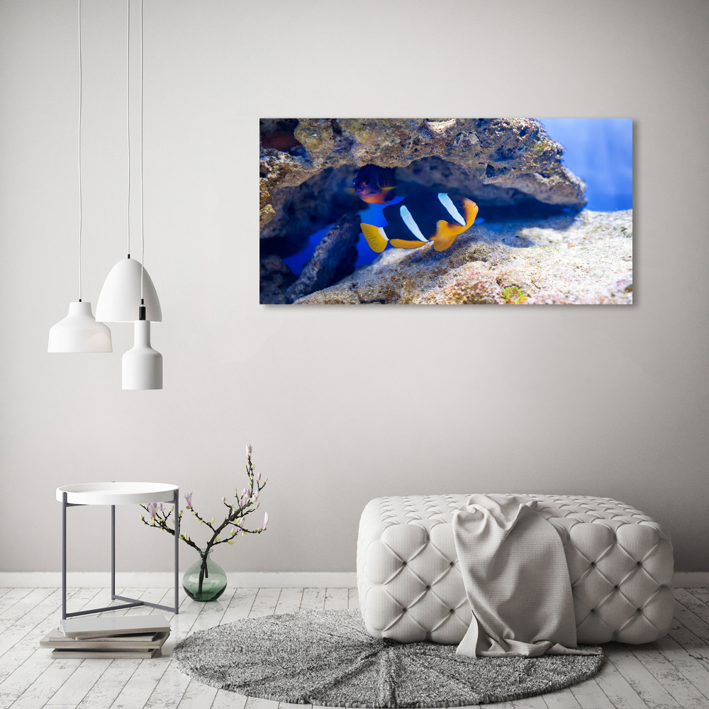 Canvas wall art Tropical fish