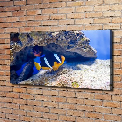 Canvas wall art Tropical fish