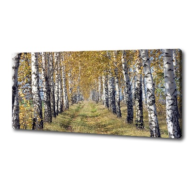 Canvas wall art Birches in autumn