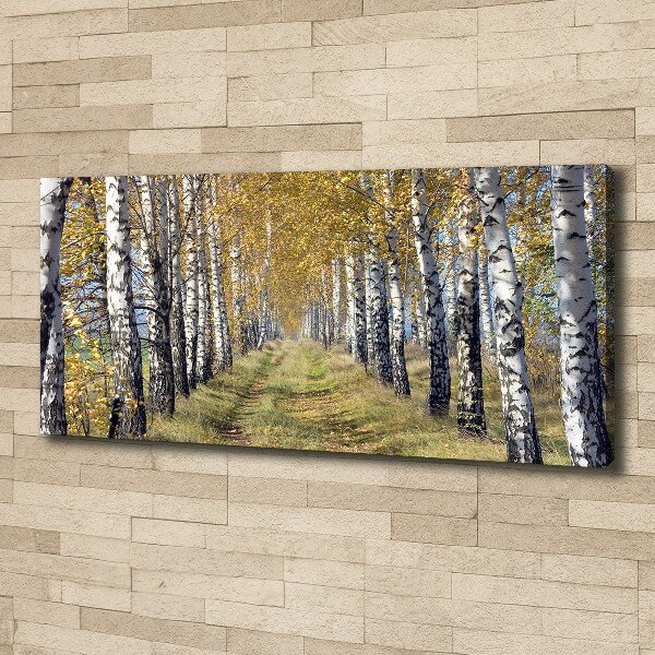 Canvas wall art Birches in autumn