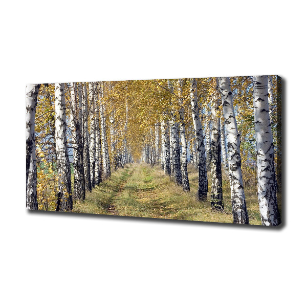 Canvas wall art Birches in autumn