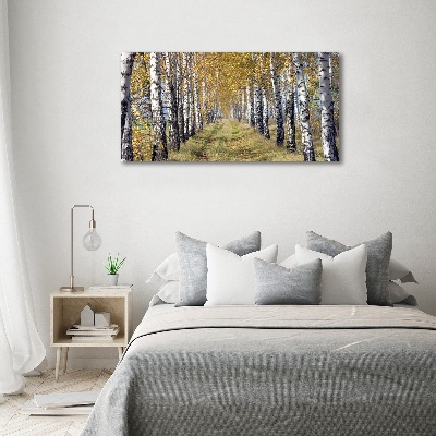 Canvas wall art Birches in autumn