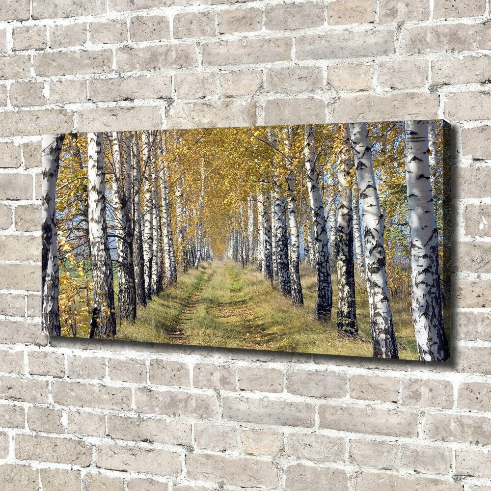 Canvas wall art Birches in autumn