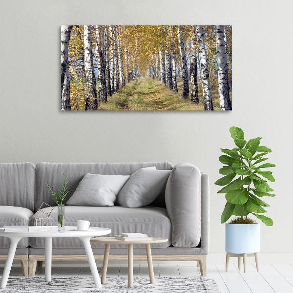 Canvas wall art Birches in autumn