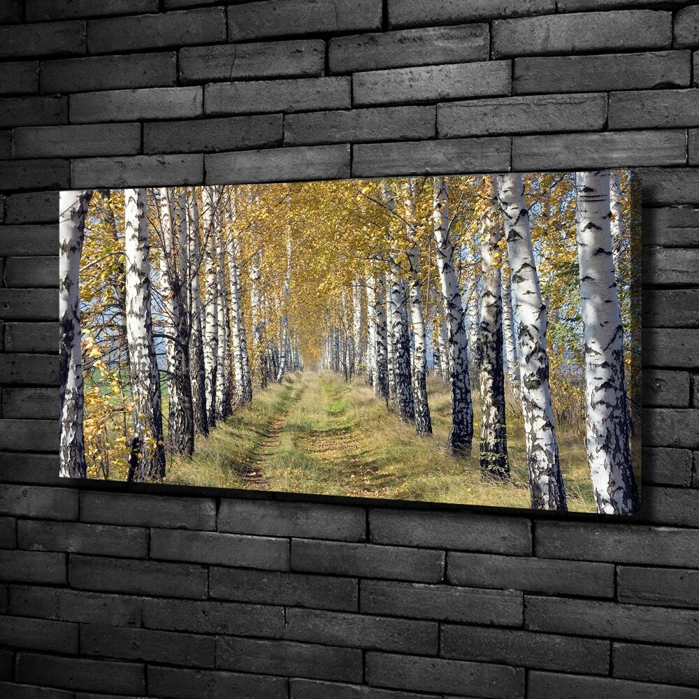 Canvas wall art Birches in autumn