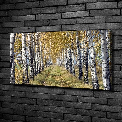 Canvas wall art Birches in autumn