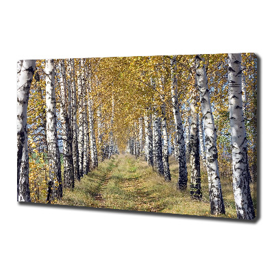 Canvas wall art Birches in autumn