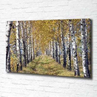 Canvas wall art Birches in autumn